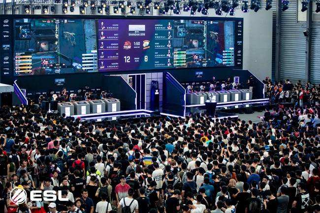 文化的适应 文化的适应